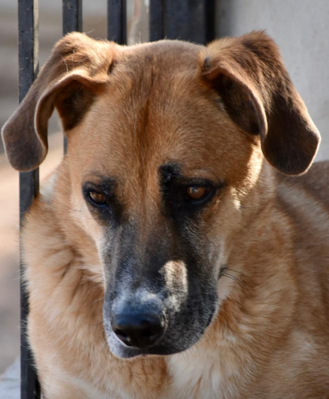 Hutch Mastin Matters